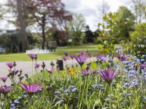 Ein Garten an der Unterkunft Cardigan Castle