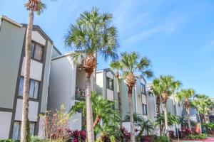 una fila di palme di fronte a un edificio di Parkway International Resort a Orlando