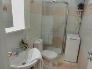 a bathroom with a toilet and a sink and a shower at Aristoula House in Sivota