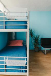 a bedroom with a bunk bed with blue walls at Polynesian Hostel Beach Club in Honolulu