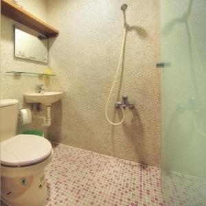 a bathroom with a shower with a toilet and a sink at Ecotourism skim month B & B in Xiaoliuqiu +32 photos