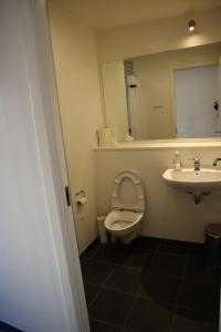 y baño con aseo, lavabo y espejo. en Rooms in quiet Yellow Courtyard Apartment, en Copenhague