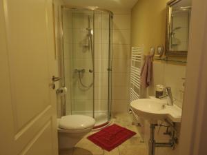 a bathroom with a shower and a toilet and a sink at BnB Lafleur in Montfaucon