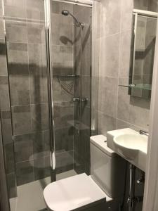 ein Badezimmer mit Dusche, Toilette und Waschbecken in der Unterkunft PR Paz de Agra in Santiago de Compostela