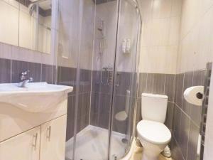 a bathroom with a shower and a toilet and a sink at Apple Garden A-2 in London +10 photos