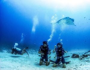 Hosté ubytování Bliss Dhigurah