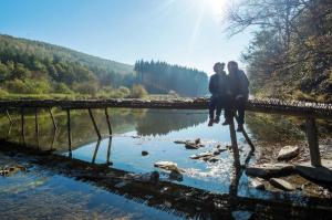 Příroda nedaleko prázdninového domu + 13 fotografií