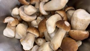 Kulmain维森酒店的相册照片 更多30张照片