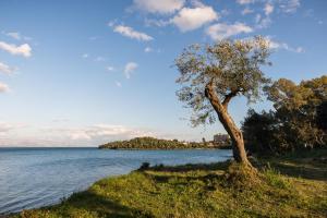Φωτογραφία από το άλμπουμ του Blue House στη Δαφνίλα +14 φωτογραφίες