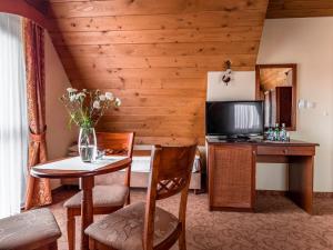 TV a/nebo společenská místnost v ubytování Villa Magnat SPA, JACUZZI, SAUNA, TĘŻNIA SOLANKOWA