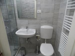 La salle de bains est pourvue de toilettes, d'un lavabo et d'une douche. dans l'établissement Appartamenti del Dose, à Venise