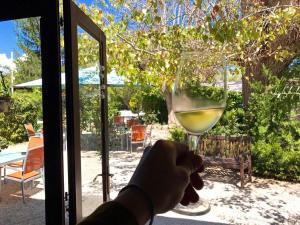 a hand holding a glass of white wine at International Glamping Lago Di Bracciano in Trevignano Romano
