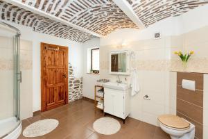 a bathroom with a toilet and a sink and a shower at Chalupa Na peci in Želnava