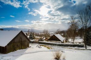 Príroda v okolí horskej chaty