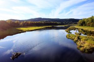Príroda v okolí horskej chaty