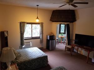 um quarto com uma cama, uma televisão e uma janela em Kancamagus Swift River Inn em Albany