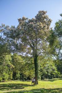 Um jardim em IguassuEcoHostel - Eco Suítes - Hostel mais próximo das Cataratas