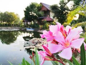 Fotografie z fotogalerie ubytování Pranpalun ปราณปาลัน v destinaci Ban Wang Dong