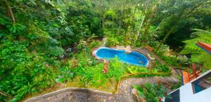 una vista aérea de un jardín con piscina en Agua Inn, en Nuevo Arenal