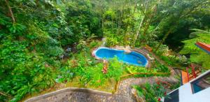 an aerial view of a garden with a swimming pool at Agua Inn in Nuevo Arenal