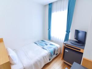 TV a/nebo společenská místnost v ubytování Hotel Flex