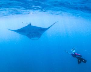 Hosté ubytování Bliss Dhigurah