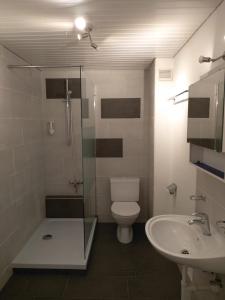 La salle de bains est pourvue de toilettes, d'une douche et d'un lavabo. dans l'établissement Kiki's B&B, à Bâle