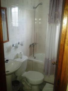 a bathroom with a toilet and a sink and a shower at Hostal El Rincón in Puerto Natales