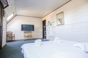 TV a/nebo společenská místnost v ubytování Hotel Galushko