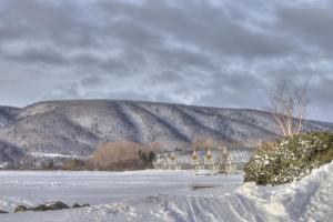 a snow covered field with trees and snow capped mountains at Keltic Quay in Whycocomagh