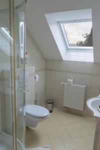 ein Badezimmer mit einem WC, einem Waschbecken und einem Dachfenster in der Unterkunft APARTMA PR TAVČARJU in Zgornje Gorje
