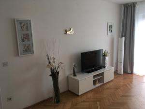 a living room with a tv and a vase with flowers at Apart SKY Residence Villa in Boleč