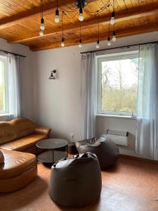 Chańcza的住宿－Willa Chańcza，带沙发和椅子的客厅以及窗户。