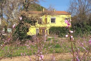 żółty dom z różowymi kwiatami przed nim w obiekcie Gîte du Mas Arnaud w mieście Thuir