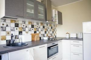 Kuchyň nebo kuchyňský kout v ubytování Liivaoja Apartment + 9 fotografií
