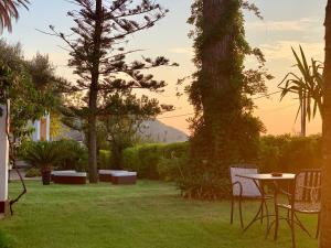 a yard with chairs and a table and a tree at Villino Eleonora in Parghelia
