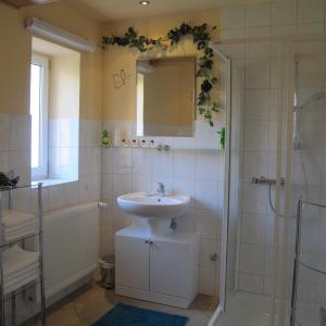 a bathroom with a sink and a shower at Ferienwohnungen Pustane in Neu Zauche