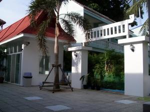 palma przed budynkiem z drabiną w obiekcie Clear House Phuket w mieście Kamala Beach