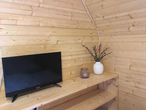 TV a/nebo společenská místnost v ubytování Chata Lužná