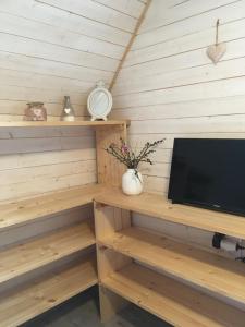 TV a/nebo společenská místnost v ubytování Chata Lužná