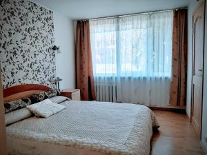 a bedroom with a bed and a large window at Irene apartments in Druskininkai