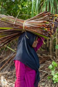 a woman carrying a bundle of wood on her head at Shifa Lodge Maldives in Feridhoo