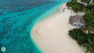 an island in the ocean with a house on a beach at Shifa Lodge Maldives in Feridhoo