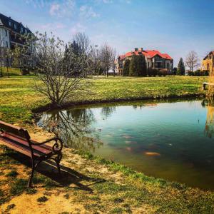 um banco de parque sentado em frente a um lago em Birdland Apartman em Bük