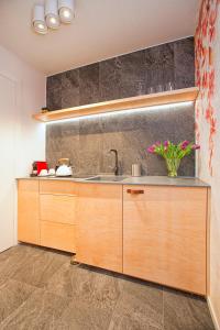 a kitchen with wooden cabinets and a sink at Beskid Ski Villa in Wisła