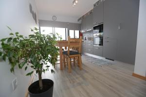 a kitchen with a table and a potted plant at Casa do Califórnia in Ribeira Grande
