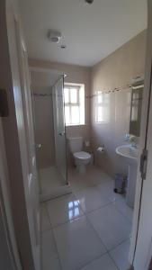 a bathroom with a shower and a toilet and a sink at Inspiration Lodge in Anascaul