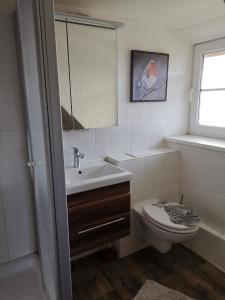 ein Bad mit einem Waschbecken, einem WC und einem Fenster in der Unterkunft Gemütliche Ferienwohnung unterm Reetdach in Boiensdorf