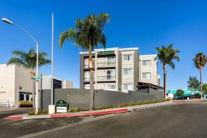 a building with palm trees in front of a street at La Quinta by Wyndham San Diego Mission Bay in San Diego
