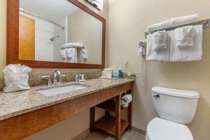 Kamar mandi di Comfort Inn & Suites Clemson - University Area
